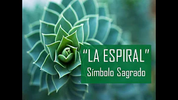 Espiral Significado Espiritual [ Y Simbolismo ]