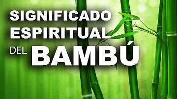 Bambú Significado Espiritual [ Y Simbolismo ]