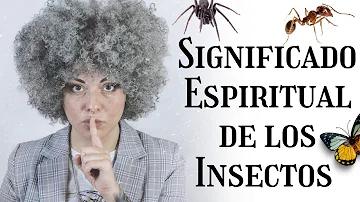 insectos significado espiritual