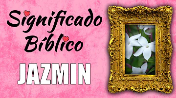 Jazmín Significado Espiritual [ Y Simbolismo ]