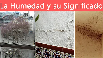 humedad en casa significado espiritual