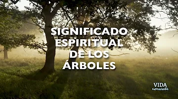 hojas significado espiritual