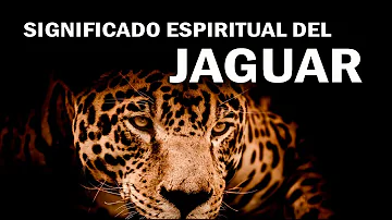 Jaguar Significado Espiritual [ Y Simbolismo ]