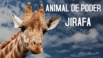jirafa significado espiritual