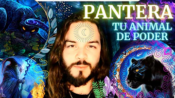 Pantera Significado Espiritual [ Y Simbolismo ]