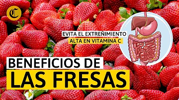 Fresa Significado Espiritual [ Y Simbolismo ]