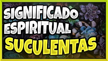 Suculentas Significado Espiritual [ Y Simbolismo ]