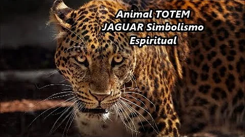 leopardo significado espiritual