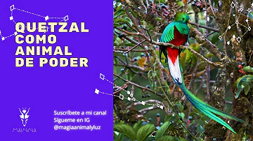 quetzal significado espiritual