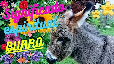 burro significado espiritual