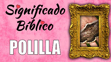 Polilla Significado Espiritual [ Y Simbolismo ]