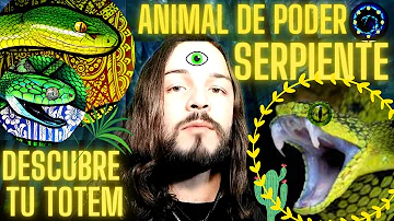 Serpiente Significado Espiritual [ Y Simbolismo ]