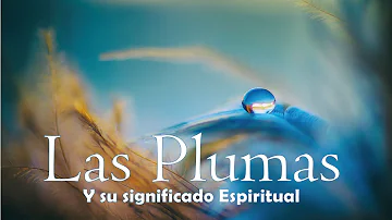 plumas significado espiritual