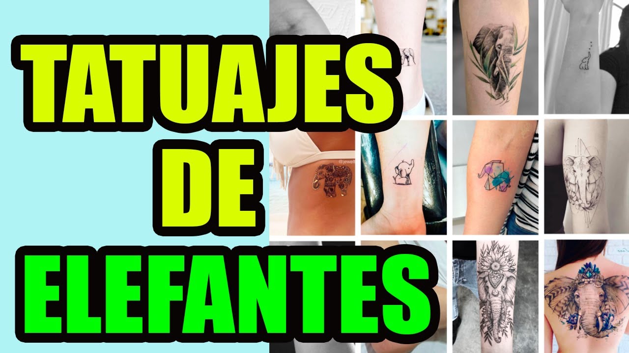 Tatuajes De Elefantes Significado [ 2023 ]