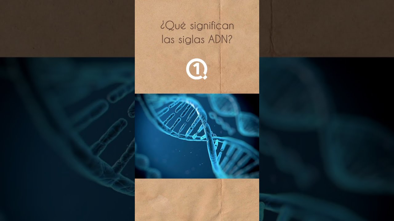 Qué Significan Las Siglas Adn [ 2023 ]