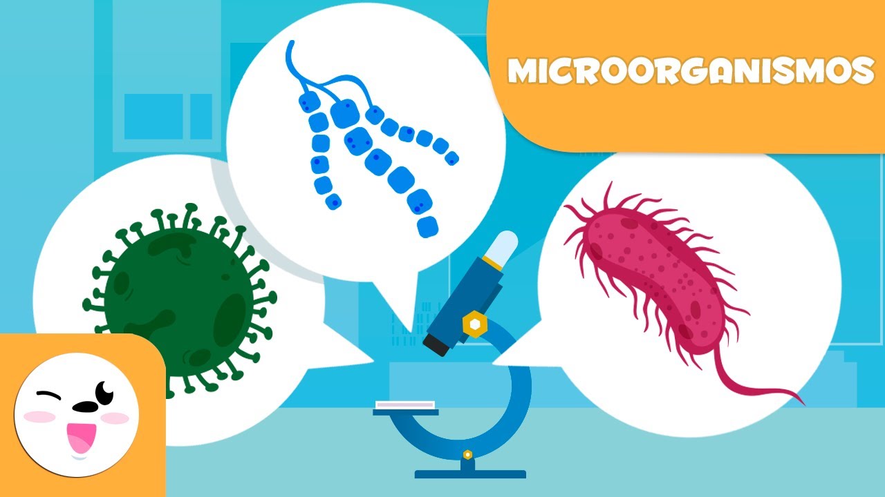 Significado De Microorganismo [ 2023 ]