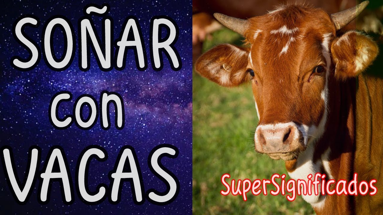 Significado De Soñar Con Vacas [ 2023 ]