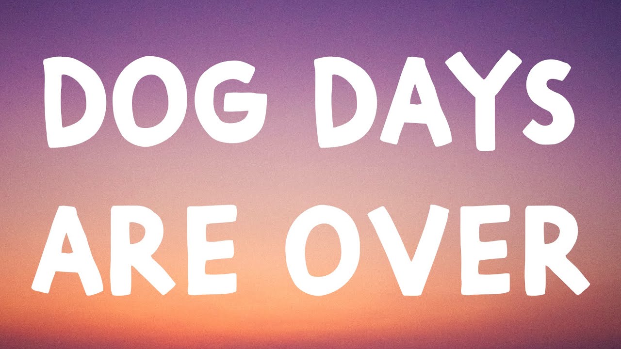 Dog Days Are Over Significado [ 2023 ]
