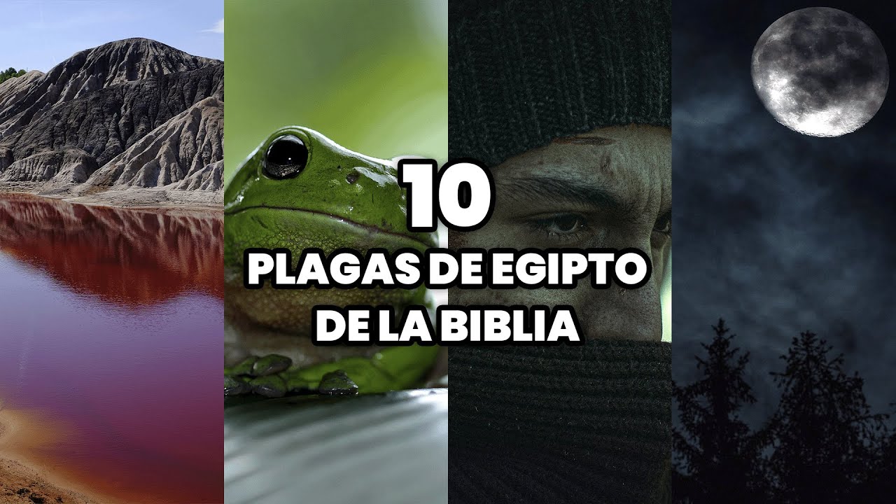 Las 10 Plagas De Egipto Y Su Significado [ 2023 ]