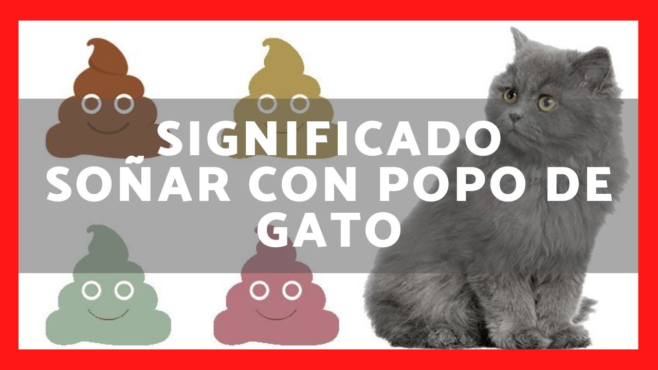 Significado De Soñar Con Popo [ 2023 ]