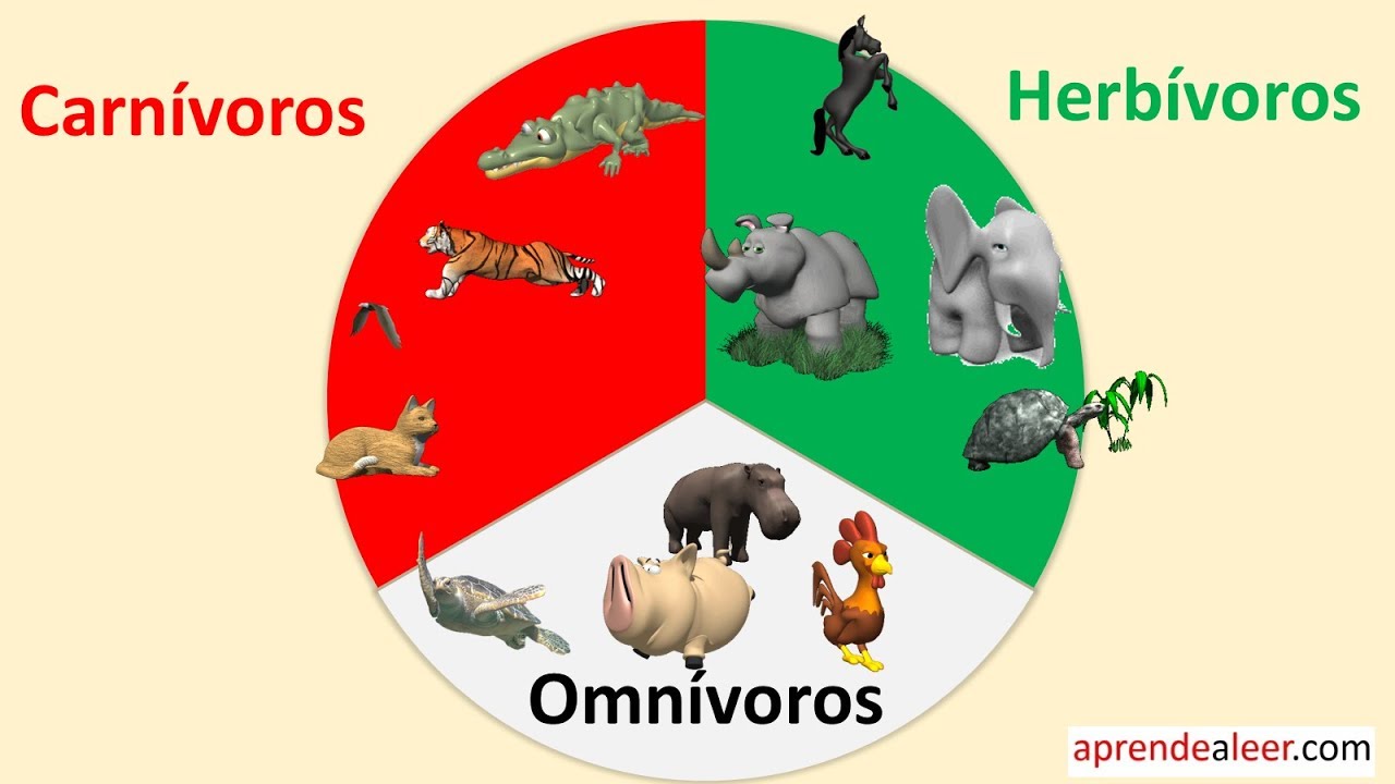 Significado De Omnivoro [ 2023 ]