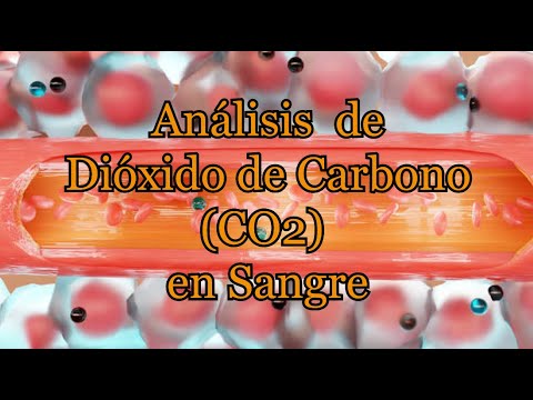 Significado De Dioxido De Carbono [ 2023 ]