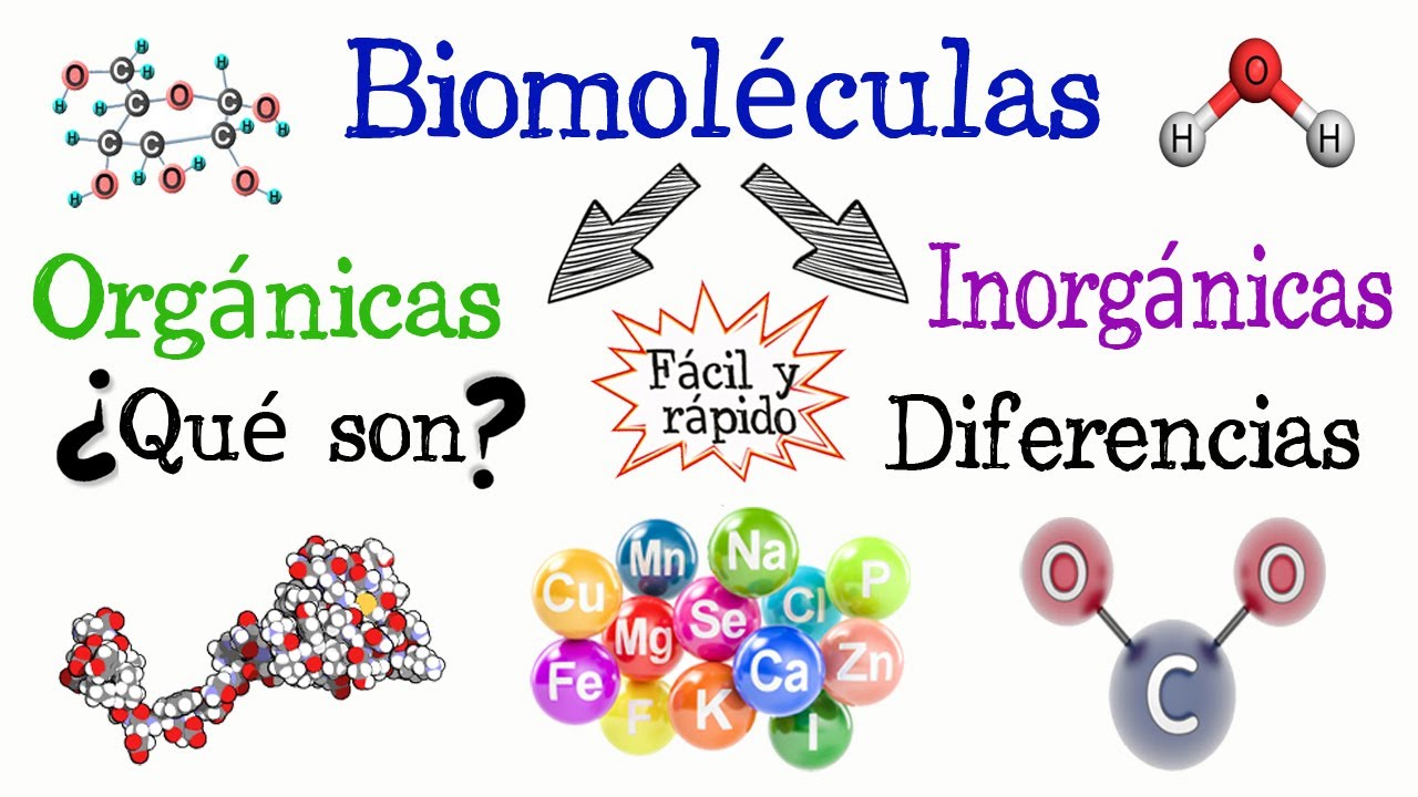 Significado De Inorganico [ 2023 ]