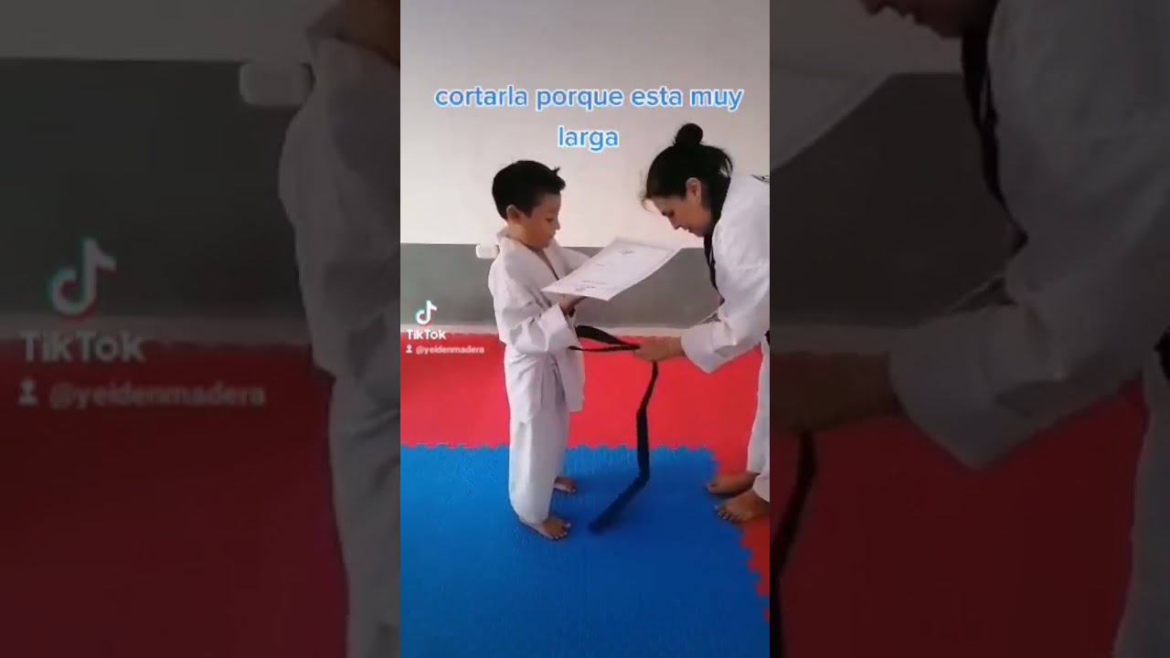 Significado De Las Cintas De Taekwondo [ 2023 ]