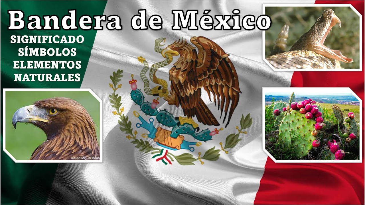 Qué Significan Los Colores De La Bandera Mexicana [ 2023 ]